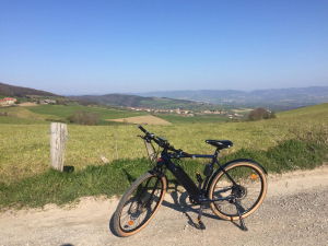 Wine and Ride &copy;