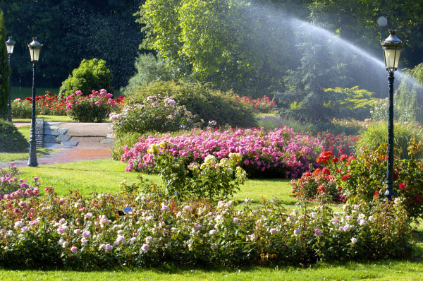 Le Parc de la T&ecirc;te d'Or &copy; Muriel Chaulet / Ville de Lyon