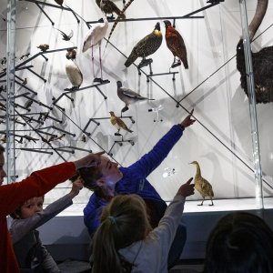 Musée des Confluences activités enfants