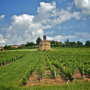 Le Beaujolais © Arnaud Hambert