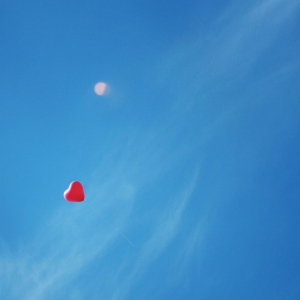 HokutoSuisse 